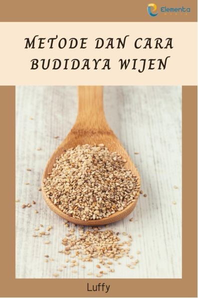 Metode dan Cara Budidaya Wijen